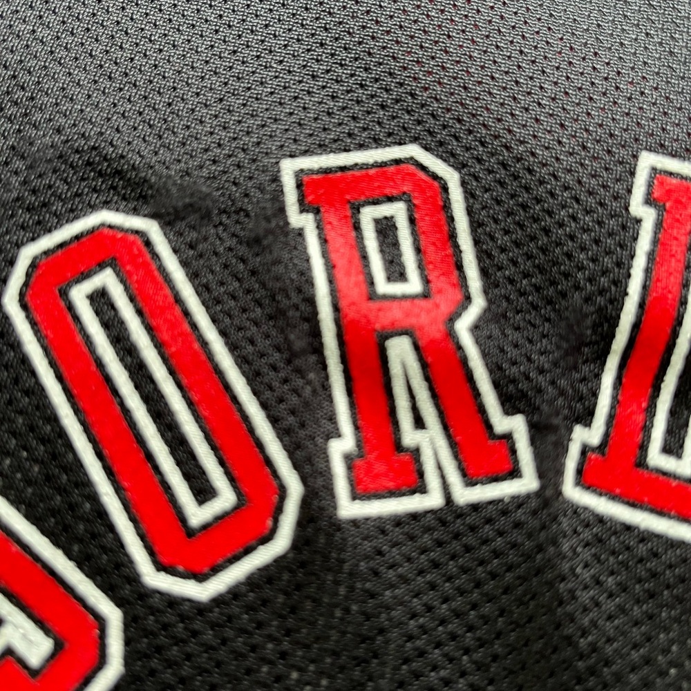 🔥 VINTAGE CHAMPION CHICAGO BULLS BLACK MICHAEL JORDAN JERSEY SIZE YOUTH XL 18-20 - Picture 6 of 6